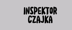 Shoper demo brak logo - strona główna